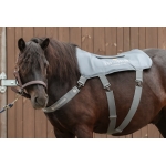 Equilibrium Massage Back Pad & Hotspot Mitt Combo Pack - 3 Length Sizes Available